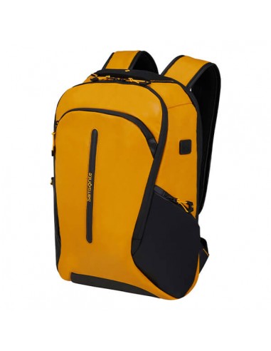 Samsonite Ecodiver rugzakken 15,6"